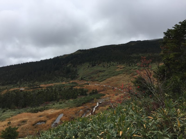 西吾妻山の登山道