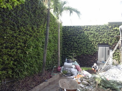 Thi công vườn trên tường tại khách sạn alspa thành phố Huế