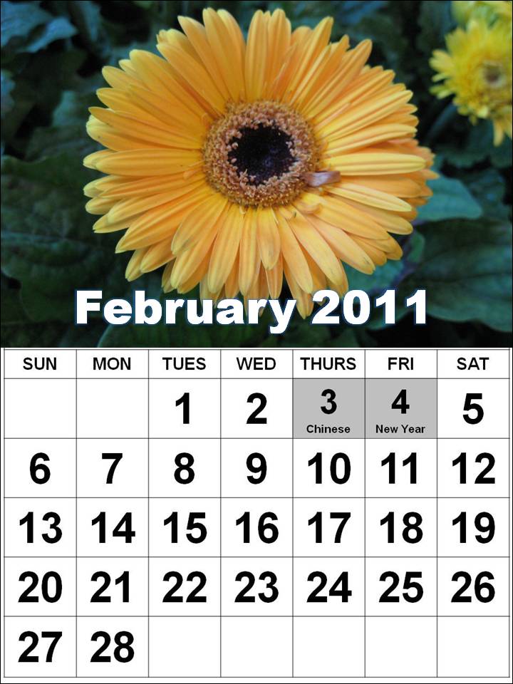 february 2011 calendar canada. february 2011 calendar with