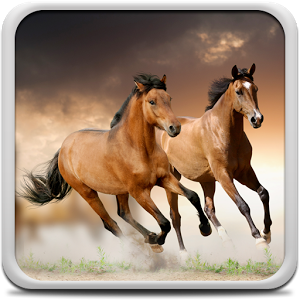 LATEST HORSE HD WALLPAPER FREE DOWNLOAD 42