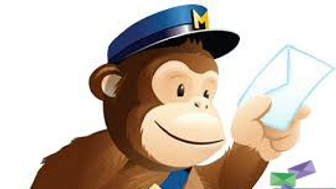 Learn How To Use MailChimp Email Marketing