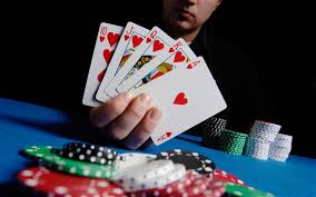 daftar poker