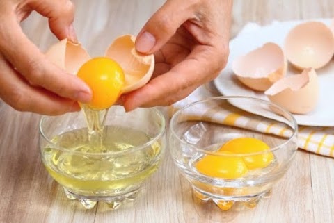 bina ayat telur putih putih telur