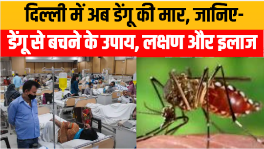 Dengue in Delhi Today: देश की राजधानी दिल्ली में अप्रैल और मई में भारी बारिश के बीच मलेरिया और डेंगू (malaria and dengue)के मामलों में इजाफा.