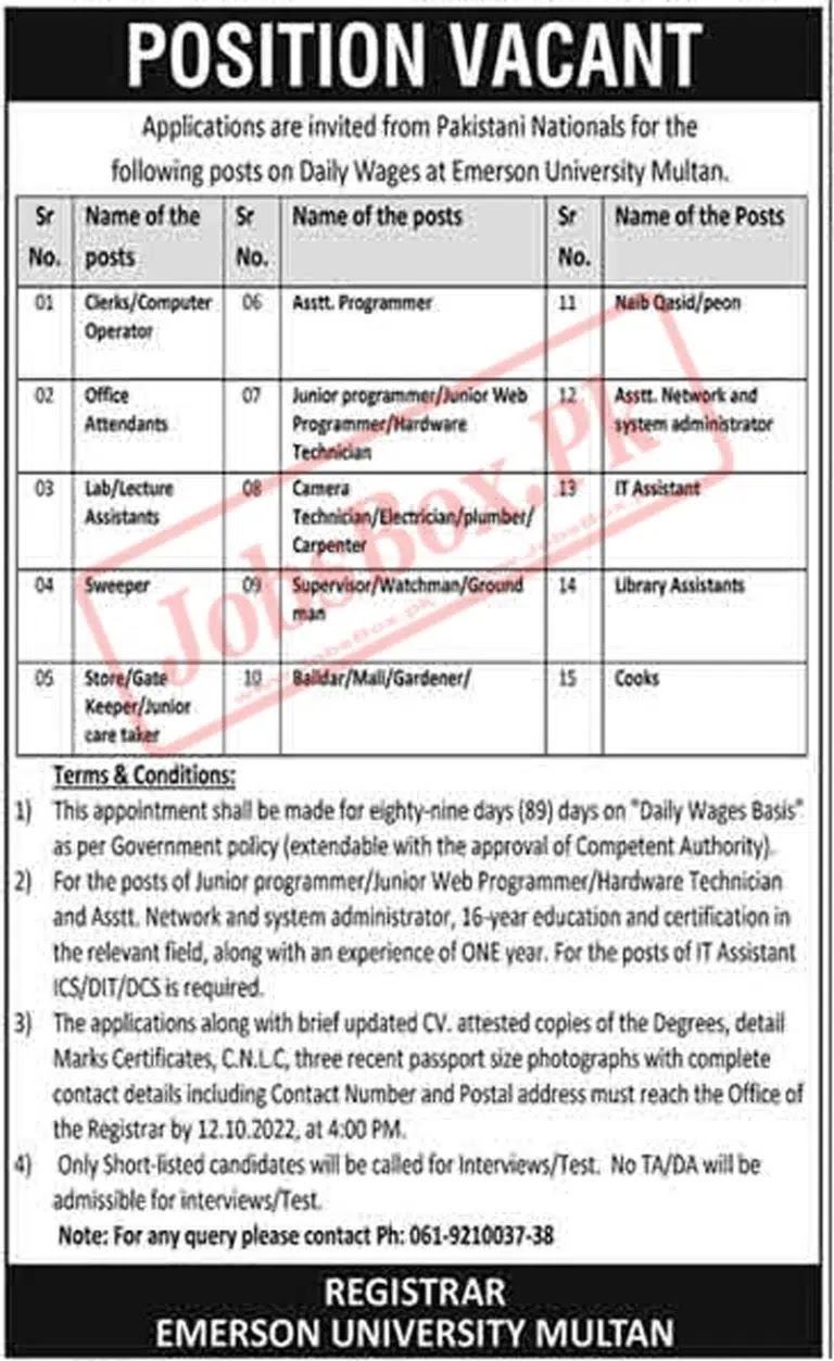 Emerson University Multan Jobs 2022