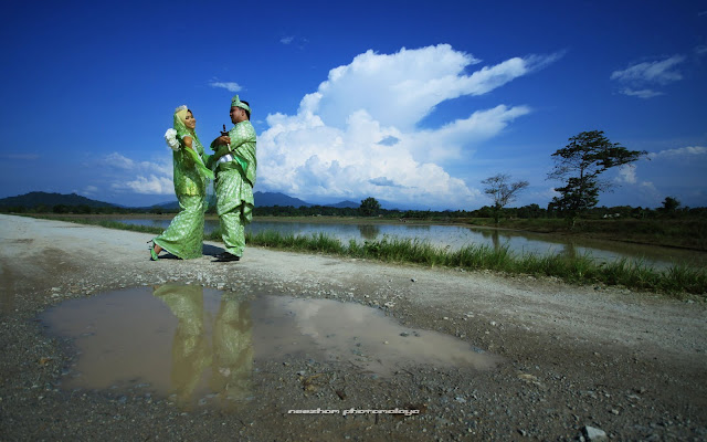 Sawah padi di kampung Darau, Besut, Terengganu