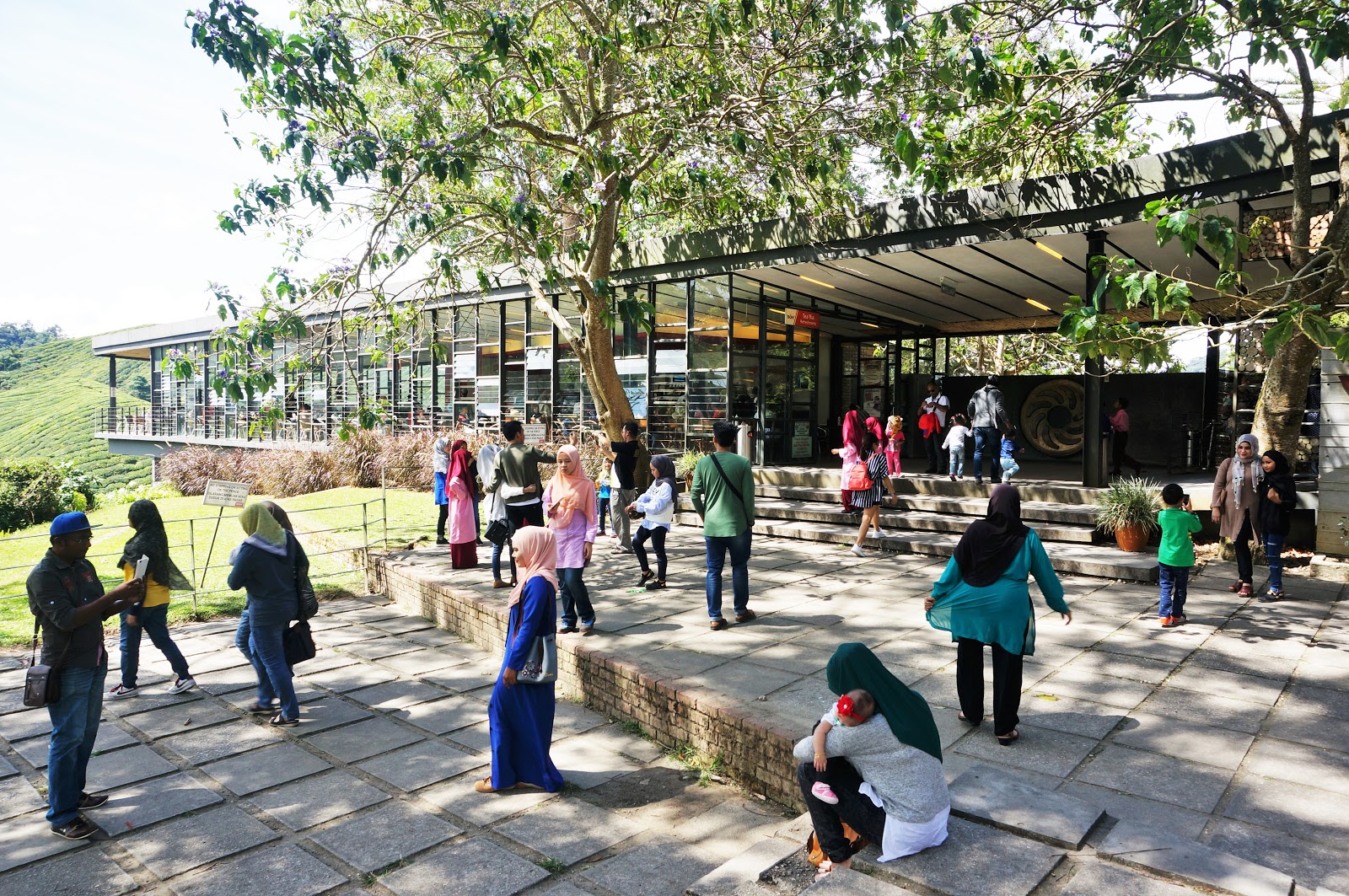 Sweet Escape To Cameron Highland, Pahang With Familia│Mesmerizing Green View At The Boh Tea Centre, Sungai Palas