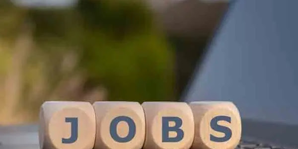 Jobs | ബാങ്ക് ജോലിക്ക് വമ്പൻ അവസരം: ഐഡിബിഐ 600 ജൂനിയർ അസിസ്റ്റന്റ് മാനേജർ തസ്തികകളിലേക്ക് അപേക്ഷ ക്ഷണിച്ചു; വിശദമായി അറിയാം