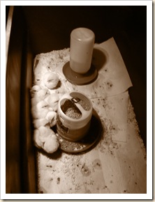 new chicks