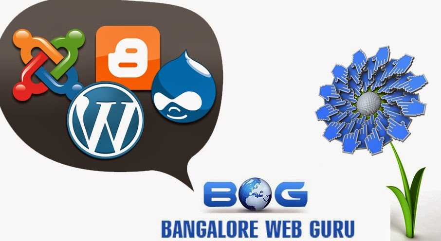 http://www.bangalorewebguru.co.in/