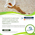 The Secrets to Spotless Carpets: Unveiling the Best Carpet Cleaning in Freehold, NJ