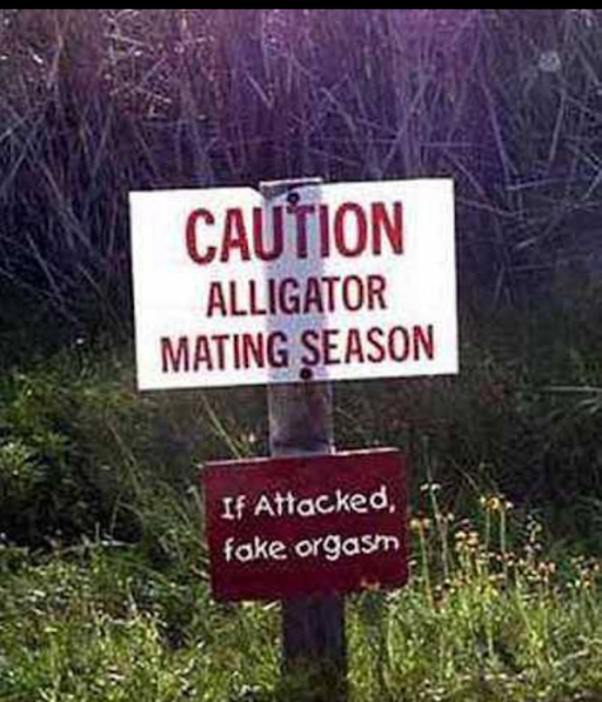 alligator warning