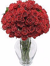 100rose_red_lg__28791_std