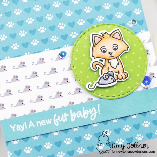 Welcome New Cat Stamp and Die Set, Circle Frames Die Set, A Cat's Life Paper Pad by Newton's Nook Designs #newtonsnook #handmade