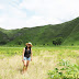 A mindblowing Savannah in Sumba 