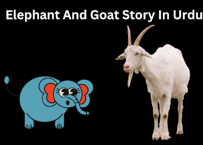 Elephant And Goat Story In Urdu