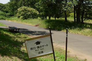 国営ひたち海浜公園