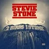 steviestone-2birds1stone