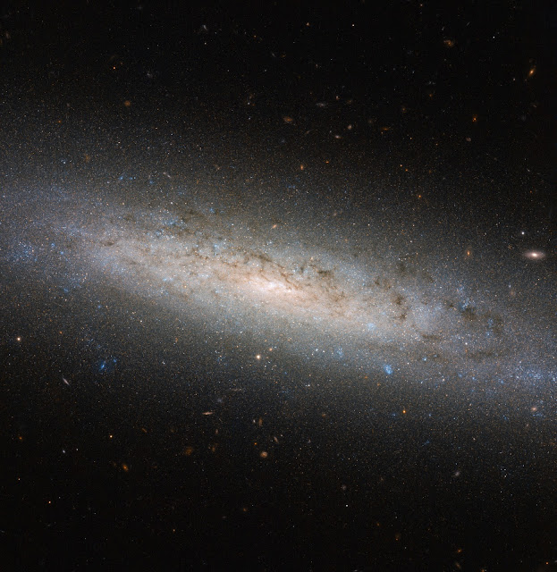 Spiral Galaxy NGC 24