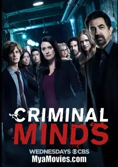 Criminal Minds. Season 4