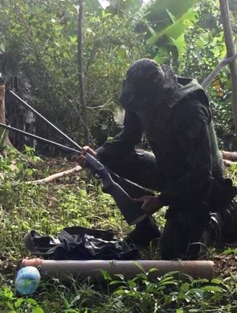 Polícia Ambiental do Vale do Ribeira surpreende caçadores e apreende itens e armas utilizadas na prática da caça ilegal