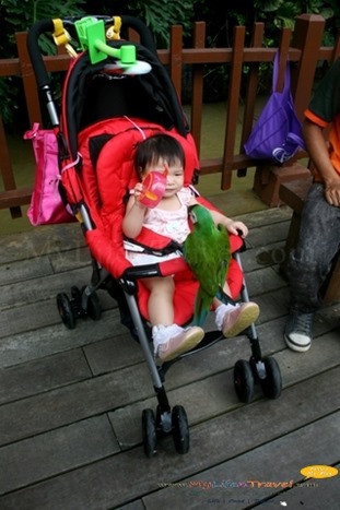 Langkawi Wildlife Park