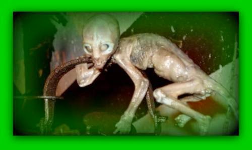 Strange Humanoid Creature Discovered In Russia
