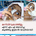 കനിവിനുകാത്തില്ല; എസ് എം എ ബാധിച്ച കുഞ്ഞു ഇമ്രാന്‍ യാത്രയായി   
