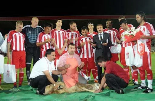 Sivasspor players pose with a restrained lamb before their friendly with FK Rad