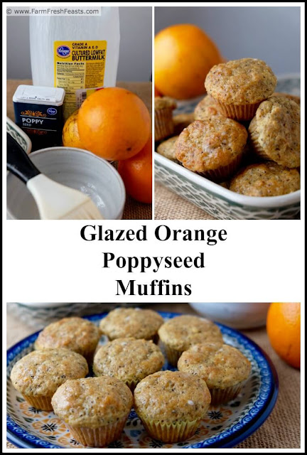 These bright sweet muffins have a snappy crunch when you bite into them. The orange juice and zest pairs nicely with poppy seeds, and makes a sweet addition to a morning tea break, knitting club, or after school snack.