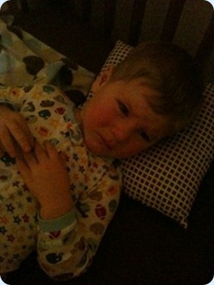 photo 2 (5)