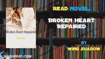 Read Broken Heart Repaired Novel Full Episode