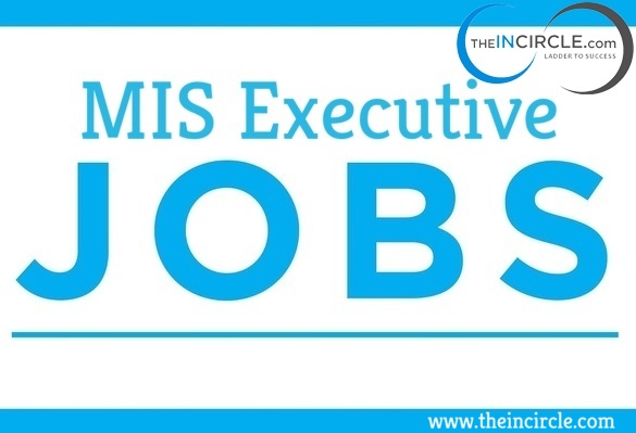 MIS Executive Jobs Opening in Noida For Fresher