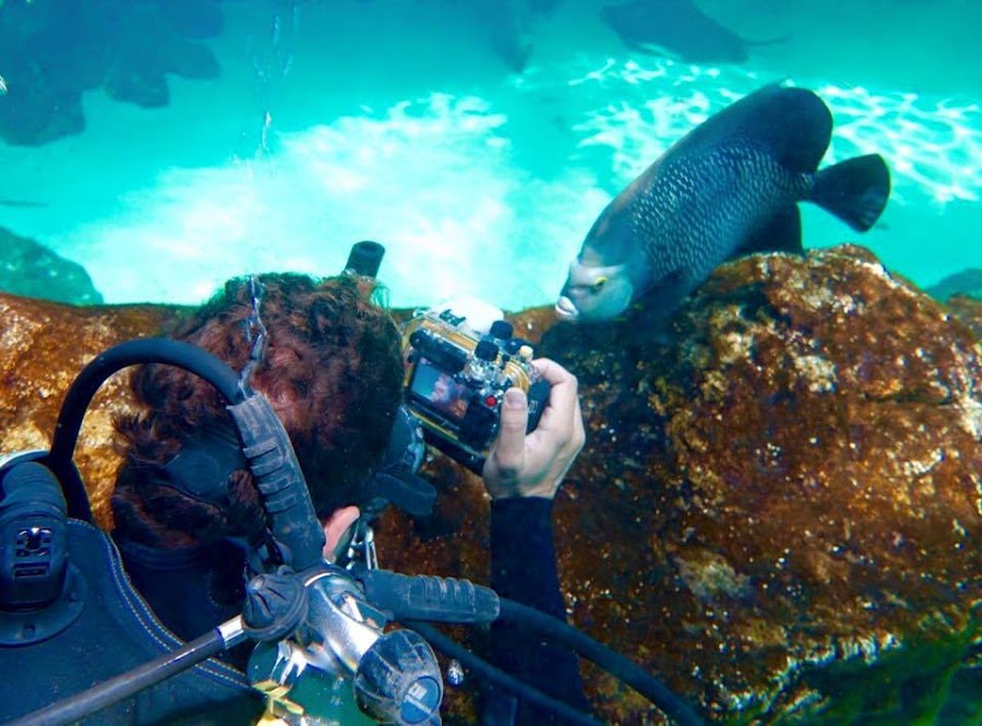 David Bisbal, Aquarium de Zoo de Madrid 