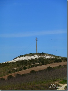 P1000244