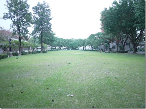 P1060268
