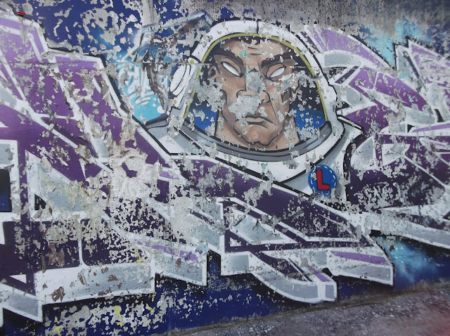 Графити дига Видин