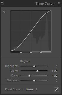 Tone Curve in Tool Lightroom