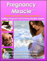 Pregnancy Miracle - Natural Pregnancy 