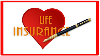 Life Insurance, term policy, non linked, non participating, pure risk,