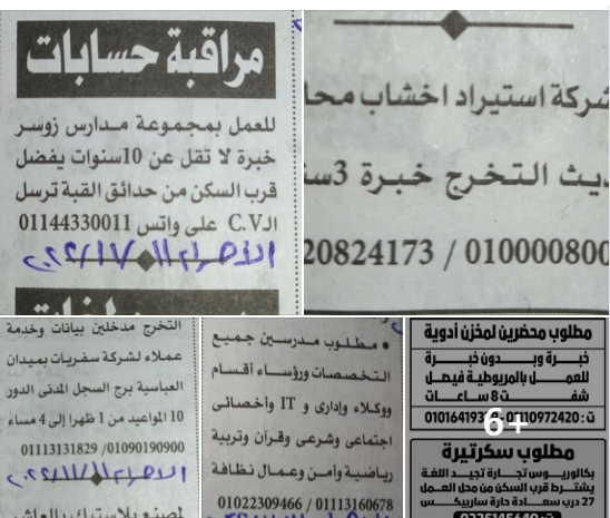 وظائف خالية من جريدة الأهرام والوسيط العدد الأسبوعي 14-11-2022