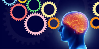  Full Neuro Linguistic Programming (NLP) Diploma Course