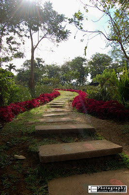 ParadiZoo theme farm, Tagaytay