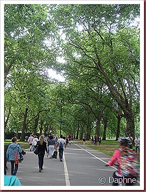 DSC08053