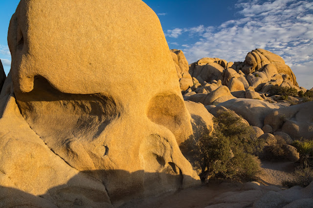 Skull Rock, Joshua Tree National Park