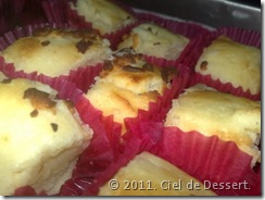 cheese bars