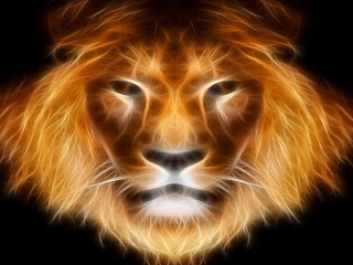 3D Lion