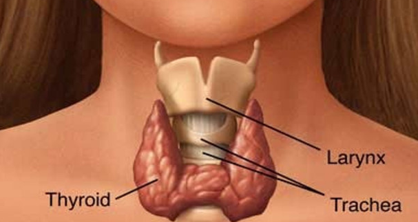 थायराइड के लक्षण और उसके बचाव |Thyroid Syndrome and its Rescue