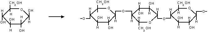 polimerisasi kondensasi selulosa