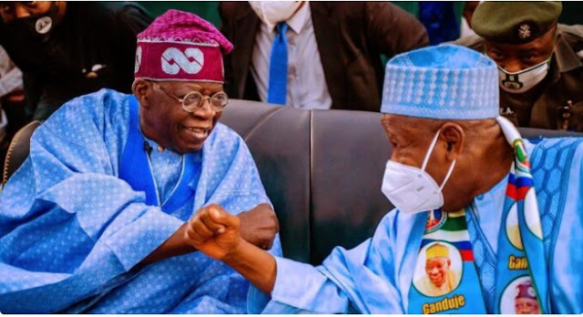 Wikipedia locks Tinubu’s page for ‘persistent vandalism’ after age is edited 84 times